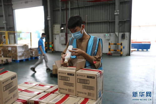 開放不息，海淘不止 疫情防控常態(tài)化下的廣州對外開放與海淘物流之路